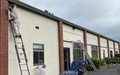 Top-Rated Painters in Boxborough, MA: What Homeowners Should Look For